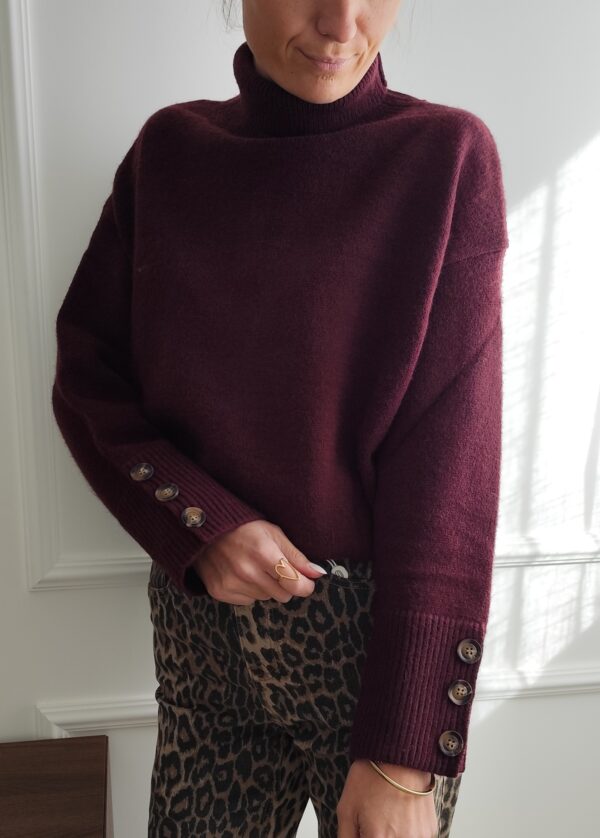 Pull bordeaux Flavio