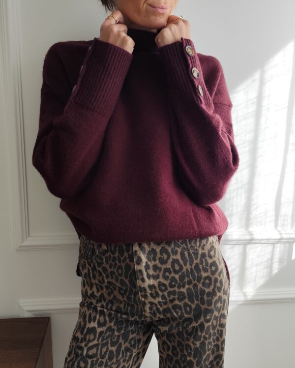 Pull bordeaux Flavio