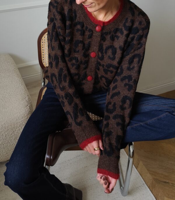 Cardigan chocolat Elliot