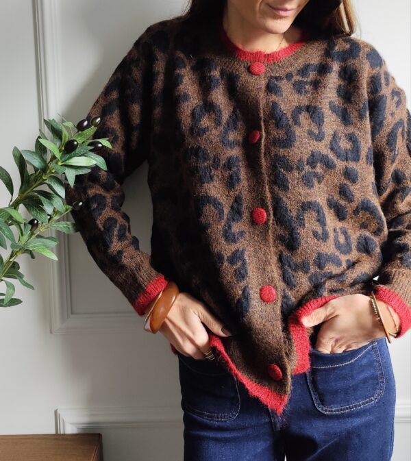 Cardigan chocolat Elliot