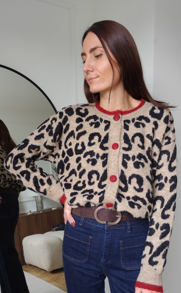 Cardigan taupe Elliot