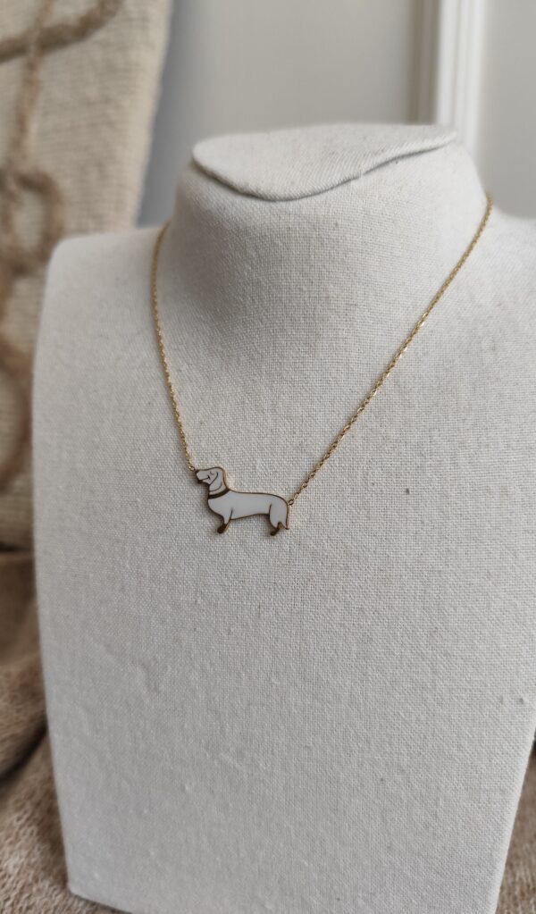 Collier blanc teckel